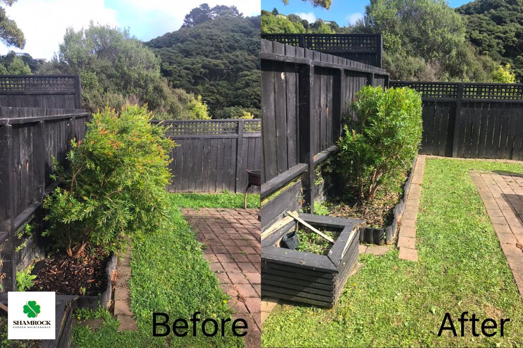 Hedge trimming
